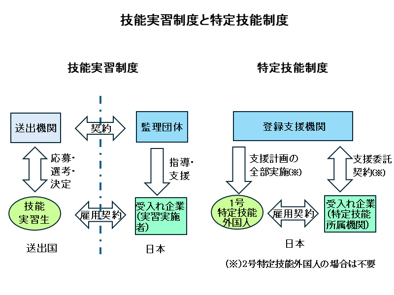 技能実習制度と特定技能制度の比較
